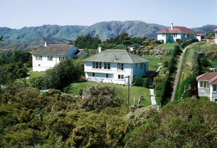 18 Makara H4 [ours] & H5 [Taylors] looking east.jpg